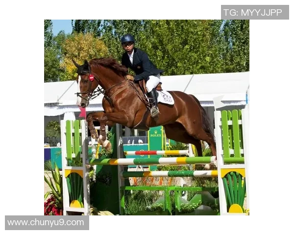 我国骑手姜志祥获世界马联场所妨碍世界杯总决赛入场券!